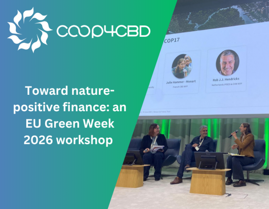 Featured image for Toward nature-positive finance: an EU Green Week 2026 workshop
