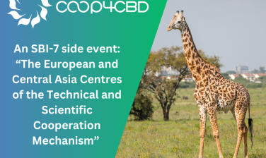 Featured image for An SBI-7 side event: “The European and Central Asia Centres of the Technical and Scientific Cooperation Mechanism”