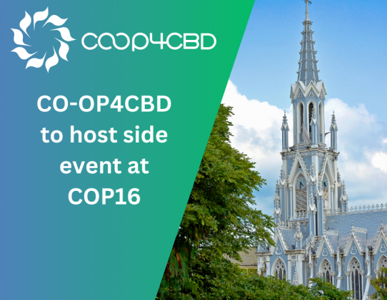 Featured image for CO-OP4CBD to Host Side Event at the 2024 United Nations Conference for Biodiversity (COP16)
