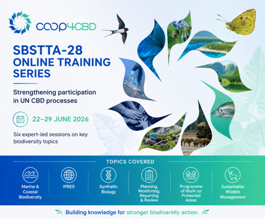 Featured image for Registration Open: CO-OP4CBD Online Training Series on SBSTTA-28 Agenda Items