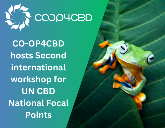 Featured image for CO-OP4CBD hosts Second international workshop for UN CBD National Focal Points