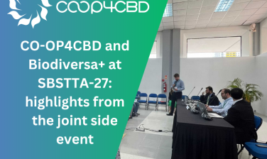 Featured image for CO-OP4CBD and Biodiversa+ at SBSTTA-27: highlights from the joint side event