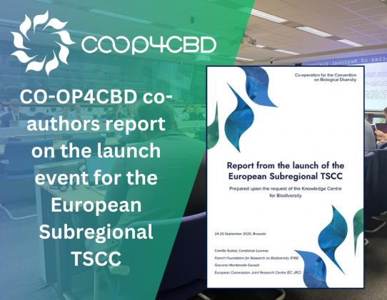 Featured image for CO-OP4CBD partners co-author new report on the launch of the European Subregional TSCC