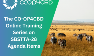 Featured image for The CO-OP4CBD Online Training Series on SBSTTA-28 Agenda Items