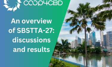 Featured image for An overview of SBSTTA-27: discussions and results
