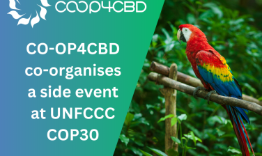 Featured image for CO-OP4CBD co-organises a side event at UNFCCC COP30