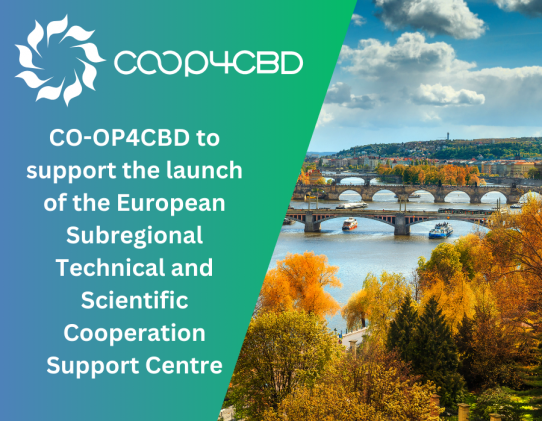 Featured image for CO-OP4CBD to support the launch of the European Subregional Technical and Scientific Cooperation Support Centre