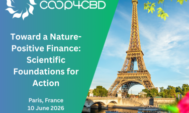Featured image for Toward a Nature-Positive Finance: Scientific Foundations for Action