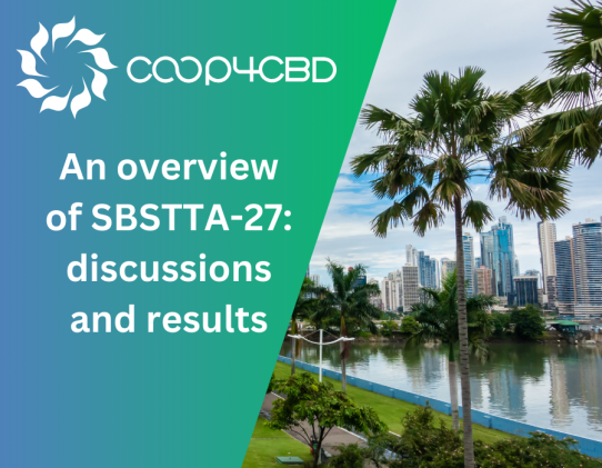 Featured image for An overview of SBSTTA-27: discussions and results