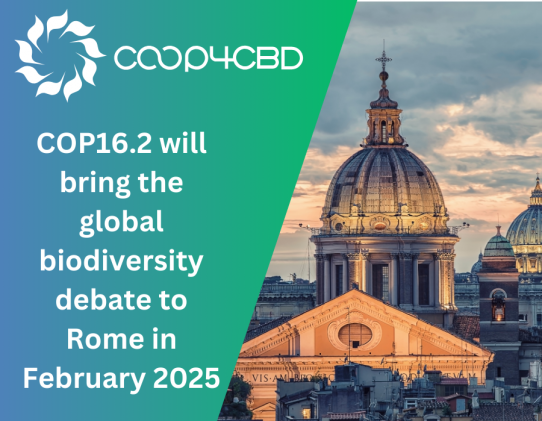 Featured image for COP16.2 will bring the global biodiversity debate to Rome in February 2025