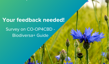 Featured image for Preview of the CO-OP4CBD - Biodiversa+ Guide to UN CBD Processes Now Available - Your Feedback Needed!