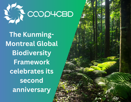Featured image for The Kunming-Montreal Global Biodiversity Framework celebrates its second anniversary