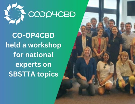 Featured image for CO-OP4CBD held a workshop for national experts on SBSTTA topics